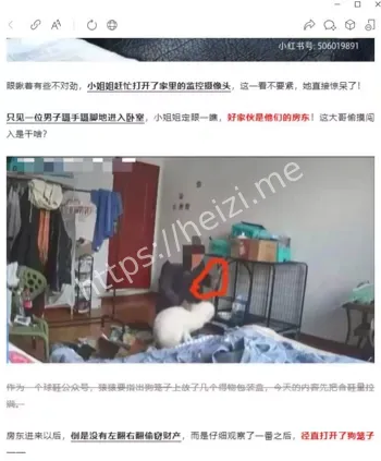 潜入租客房强奸狐狸犬