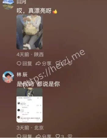 小莉帮忙栏目网红记者瓜