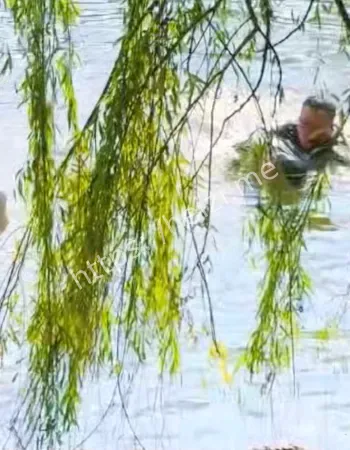 小学生不慎落入河中