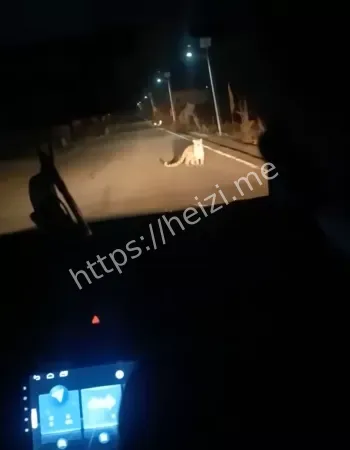 陶唐峪乡南李庄