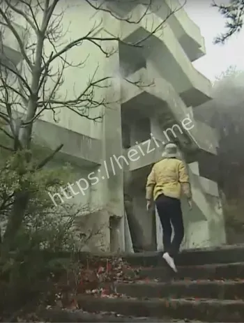 医生集体自杀传闻