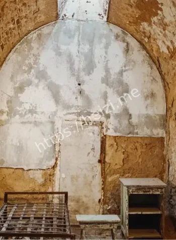 阴影人形对镜头招手