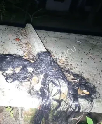 废弃高校诡异声音