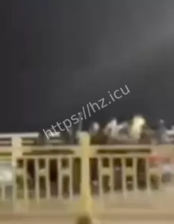 山东省潍坊砍人事件