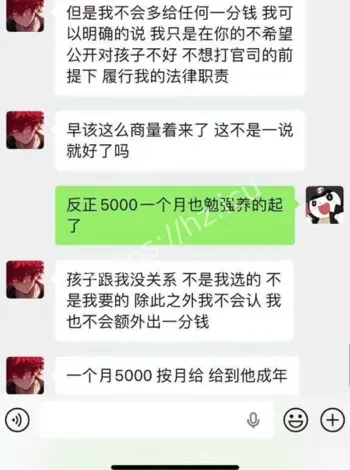 童锦程私生子事件