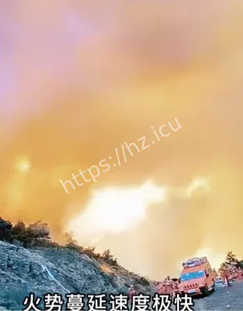 后山山火15小时扑灭