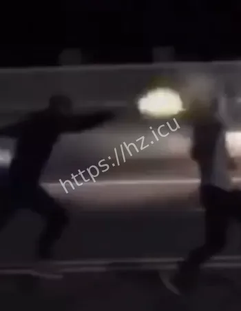 追车互殴后