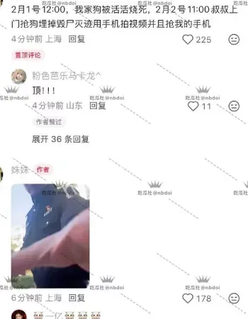 萨摩耶被活活烧死