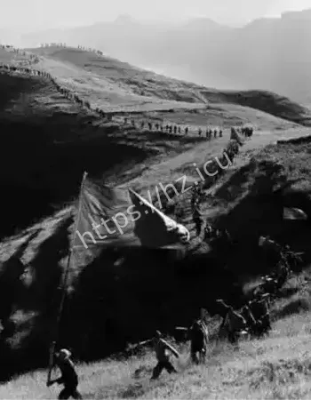 一夜之间300多支枪