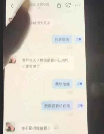 爆火全网