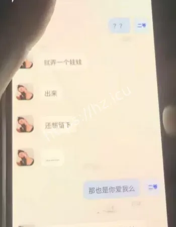 爆火全网