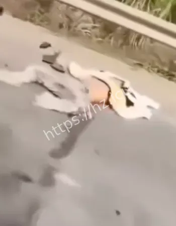 鬼火少年玩翘头