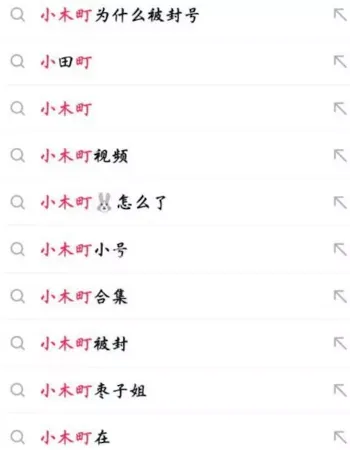 抖音百万粉丝网红