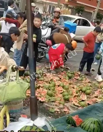 大闹西瓜摊