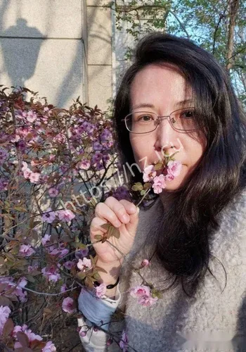 我怀孕婆争议焦点