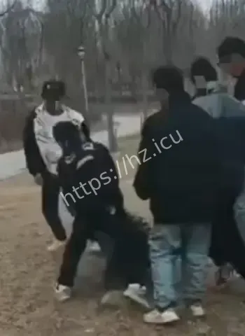 小学生遭围殴