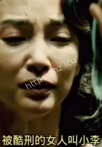 李冰冰苏三位美女气质在线