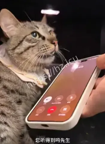 女子不接诈骗电话