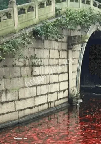 鹿晗被传担心的事还是发生