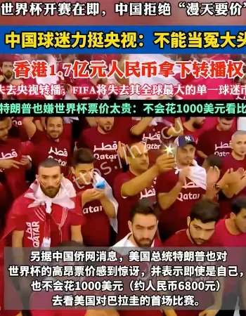 中国球迷看世界杯直播