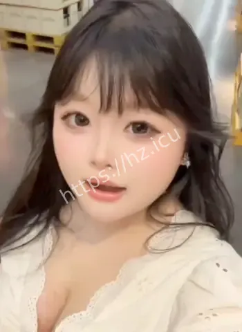 两只猫完美小坦克