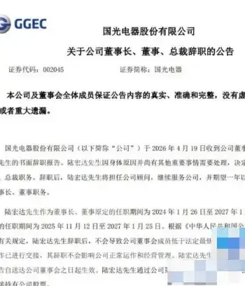 国光电器董事长