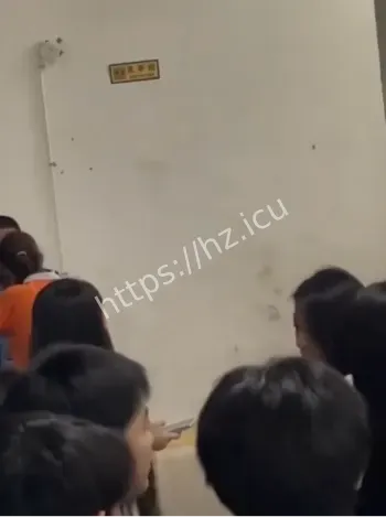 职校女生厕所生双胞胎