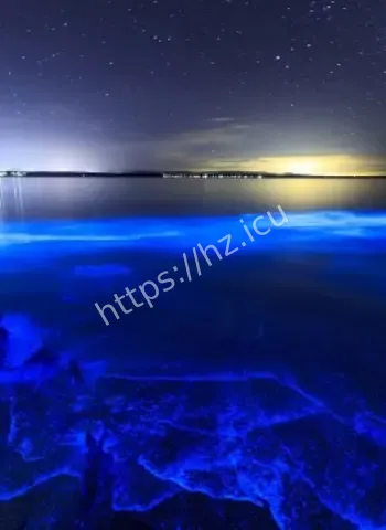 澳东部海岸惊现荧光海藻