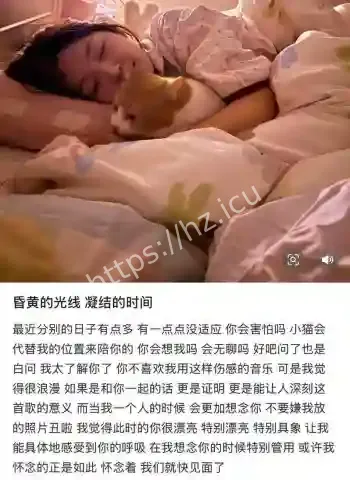 私密记录流出