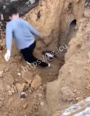 全程不眨眼