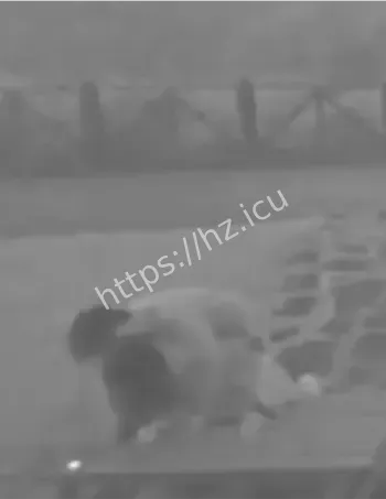 阳明山活春宫