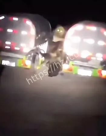 居民财产