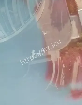 小飞机撞击事件