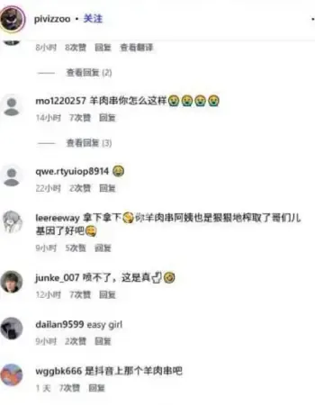 羊肉串反差网红