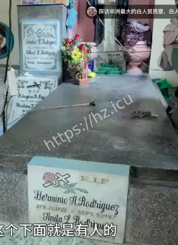 最大活死人墓曝光