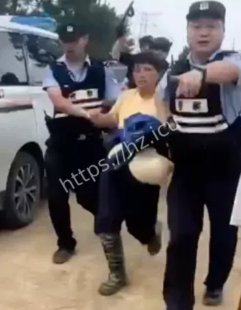 遭警察暴力制服