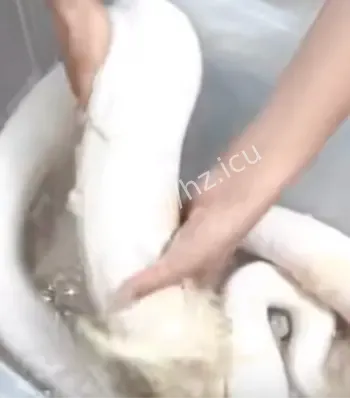 60岁老妇生蛇